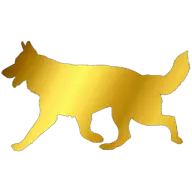 Zamerdani.pl Favicon