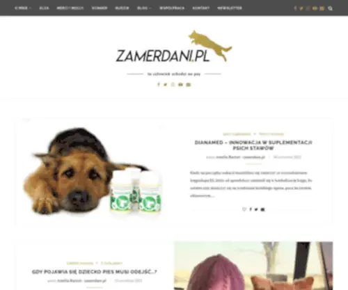 Zamerdani.pl(To dog) Screenshot