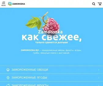 Zamorozka.ru(замороженные) Screenshot