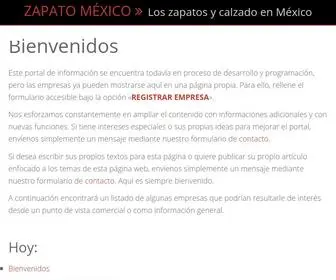 Zapatomexico.com(ZAPATO MÉXICO) Screenshot