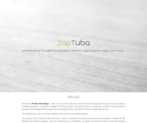 Zaptuba.com(Freelance web & software developer) Screenshot