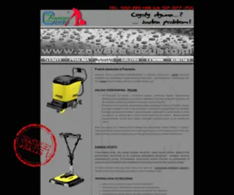 Zawsze-CZYsto.pl(Profesjonalna pralnia dywanĂłw w Poznaniu) Screenshot