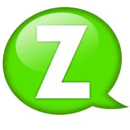 Zayme-Online.ru Logo