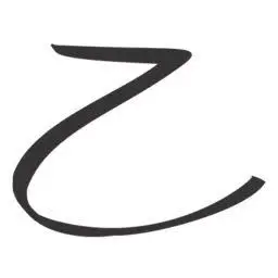 Zazou.com.br Favicon