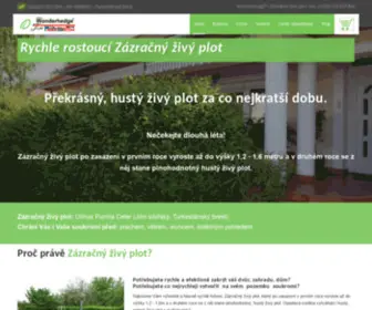 Zazracny-Plot.cz(Živý plot) Screenshot