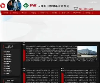 ZCSKF.com(采购进口轴承FAG/inaZCOM到) Screenshot