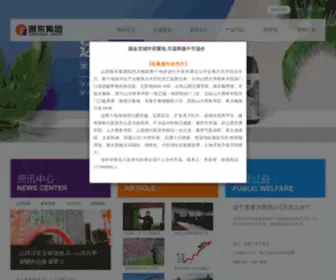 ZDJT.com(振东集团) Screenshot