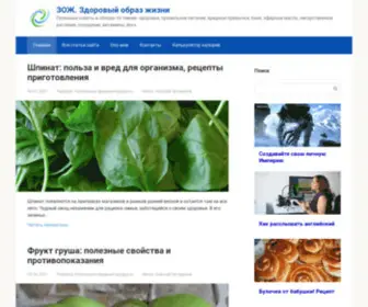Zdravstvyite.ru(Полезные советы и обзоры по темам) Screenshot