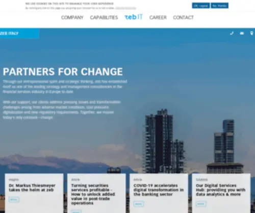 Zeb-Consulting.it(Partners for Change) Screenshot