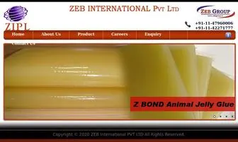 Zebinternationals.com(Zeb Internationals) Screenshot