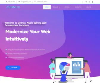Zebnux.com(Zebnux Technologies) Screenshot