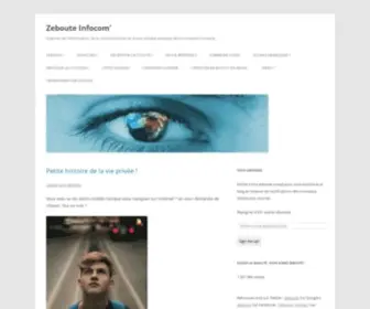 Zeboute-Infocom.com(Sciences de l'information) Screenshot