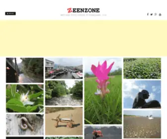 Zeenzone.com(Best free stock photos to Download) Screenshot