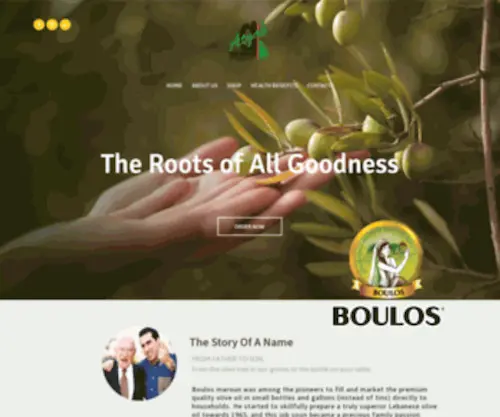 Zeitboulos.com(ZEIT BOULOS) Screenshot