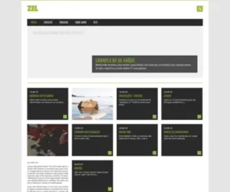 Zel.com.br(Desde 2000) Screenshot