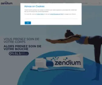 Zendium.fr(Bienvenue chez Zendium) Screenshot