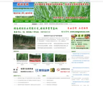 Zengruncao.com(增润草网) Screenshot