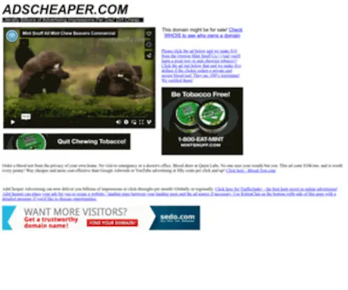 Zenmarket.com(Best online advertising) Screenshot