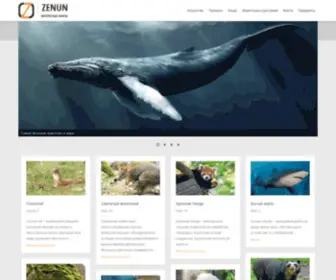 Zenun.ru(Интересные) Screenshot