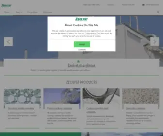 Zeolyst.com(Zeolyst International Zeolyst International) Screenshot
