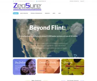 Zeosure.com(Zeolite Detox Program) Screenshot