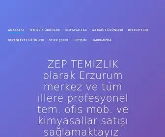 Zepkagitcilik.com(Zep Kağıtçılık) Screenshot