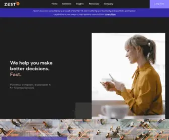 Zest.ai(Zest AI) Screenshot