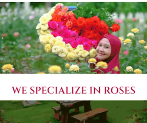 Zetyroses.com(Zety Roses) Screenshot