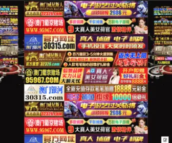 ZGDNS.net(杭州做网站) Screenshot