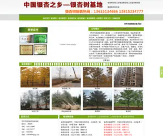 ZGYXSW.com(银杏树价格) Screenshot