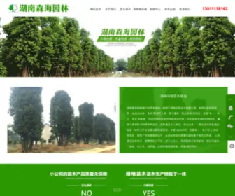 Zhangshuwang.com(香樟树) Screenshot