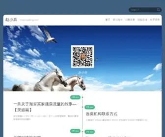 Zhaoxiaobing.com(赵小兵) Screenshot