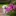 ZHchangfeng.cn Favicon