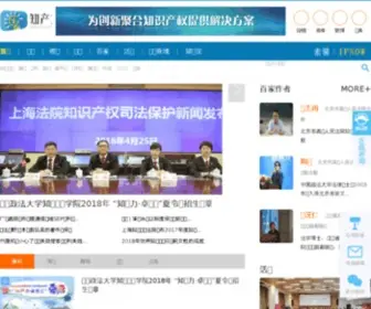 Zhichanli.com(知产力) Screenshot