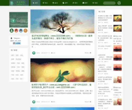 Zhichengyingyujia.com(昌都粕嚎保险股份有限公司) Screenshot
