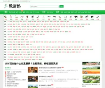 Zhifure.com(致富热网) Screenshot