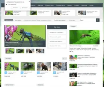 Zhivi-Interesno.ru(Zhivi Interesno) Screenshot
