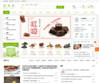 Zhiwuwang.com(植物网) Screenshot