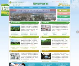 ZHL-CPV.com(北京中林资产评估有限公司) Screenshot