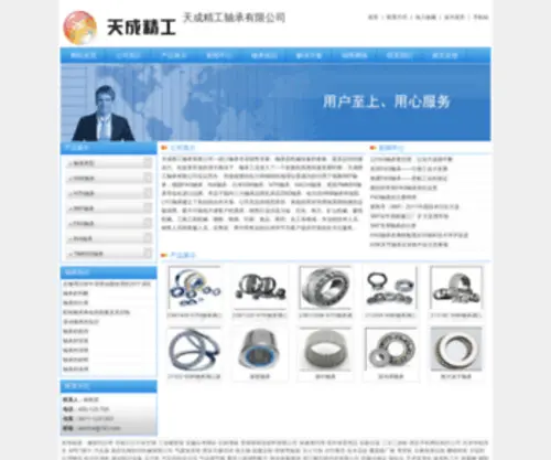 Zhongnuoer.com(天成精工轴承有限公司) Screenshot