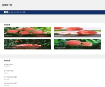 Zhoujiaxiaoer.com(嘉霄桃子网) Screenshot