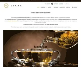 Ziaba.mx(Ziaba) Screenshot