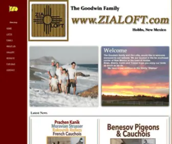 Zialoft.com(Zia Loft) Screenshot