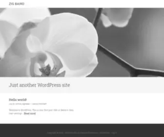 Zigbaird.com(Zig Baird) Screenshot