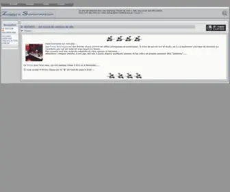 Ziggysono.com(ACCUEIL) Screenshot