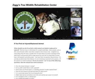 Ziggystree.org(Ziggy's Tree Wildlife Rehabilitation Center) Screenshot