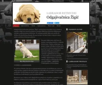 Zigic.rs(Odgajivačnica) Screenshot