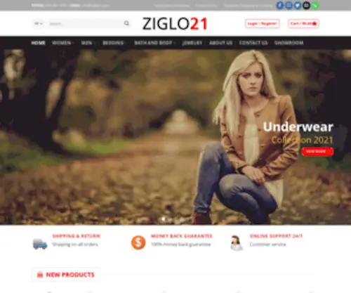 Ziglo21.com(Ziglo 21) Screenshot