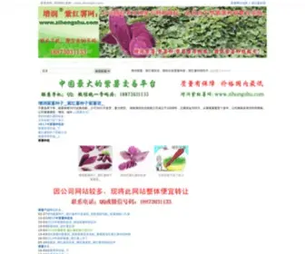 Zihongshu.com(紫红薯) Screenshot