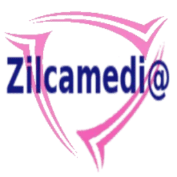 Zilcamedia.mx Favicon